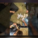 آشنایی با پاسور بازی شرطی: راهنمای جامع برای علاقه‌مندان سایت شرط بندی